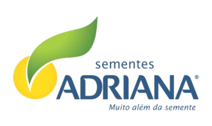 Sementes Adriana