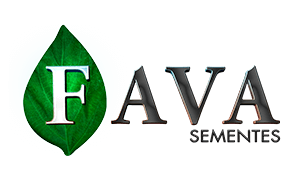 FAVA Sementes