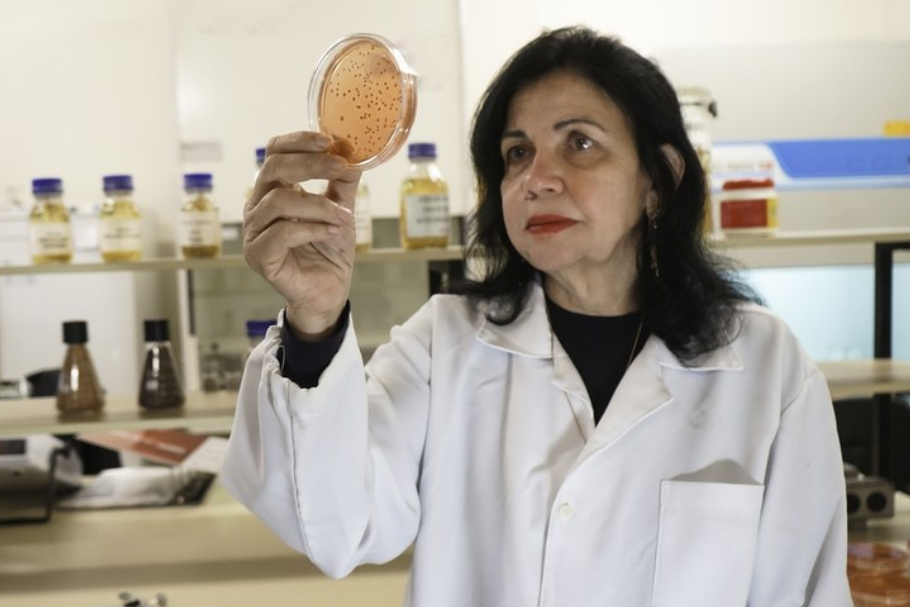 Mariangela Hungria vence o “Nobel da Alimentação”